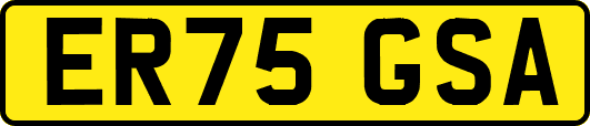 ER75GSA