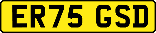 ER75GSD