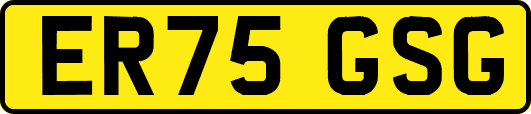 ER75GSG