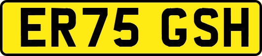 ER75GSH