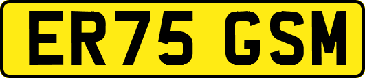 ER75GSM