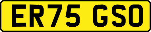ER75GSO
