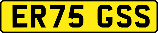 ER75GSS