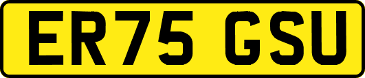 ER75GSU