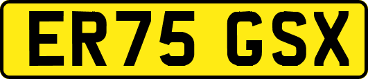 ER75GSX