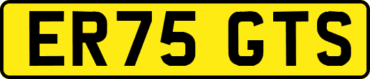 ER75GTS