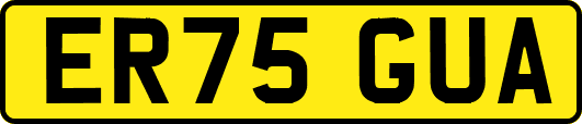 ER75GUA