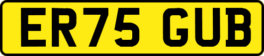 ER75GUB