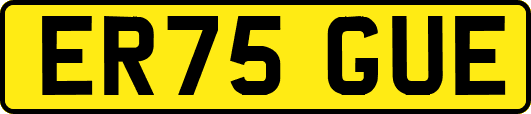 ER75GUE