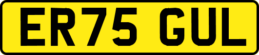 ER75GUL
