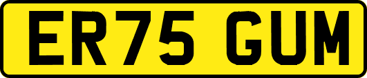 ER75GUM