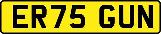 ER75GUN
