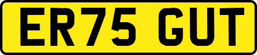 ER75GUT