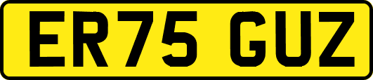ER75GUZ