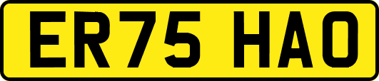ER75HAO