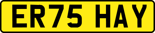 ER75HAY