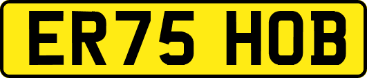 ER75HOB