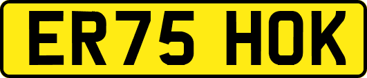 ER75HOK