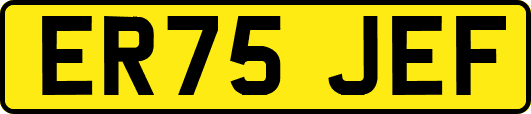 ER75JEF