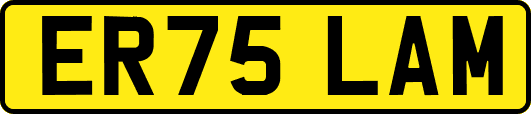ER75LAM