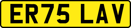 ER75LAV