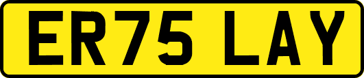 ER75LAY