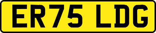 ER75LDG