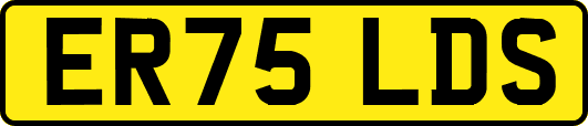 ER75LDS