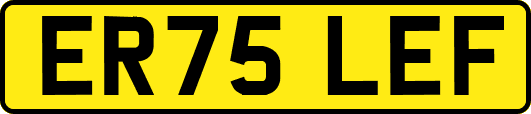 ER75LEF