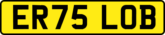 ER75LOB