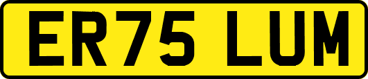 ER75LUM