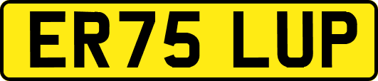 ER75LUP