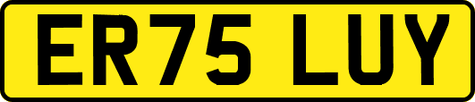 ER75LUY