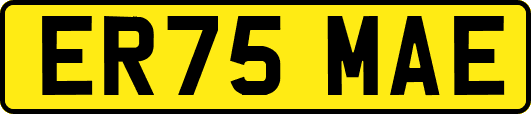 ER75MAE