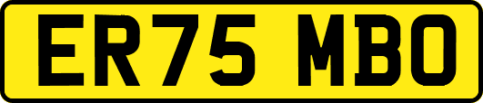 ER75MBO