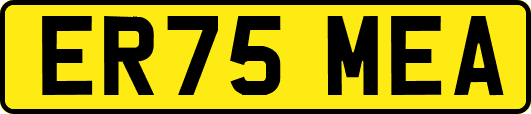 ER75MEA