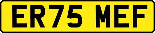 ER75MEF