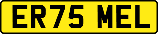 ER75MEL