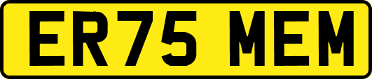 ER75MEM