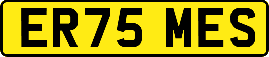 ER75MES