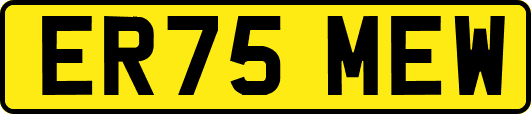 ER75MEW