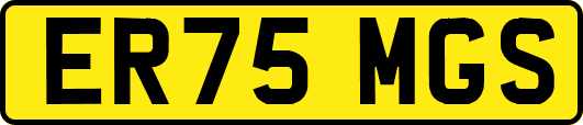ER75MGS