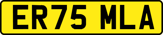 ER75MLA