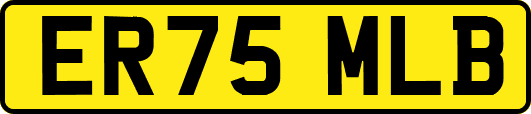 ER75MLB