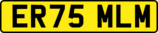 ER75MLM