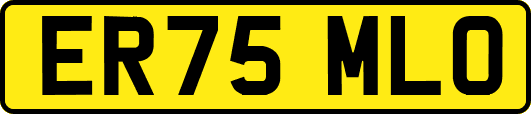 ER75MLO