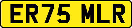 ER75MLR