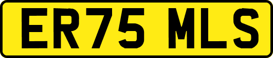ER75MLS