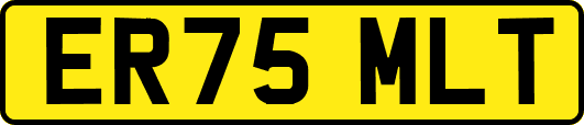 ER75MLT