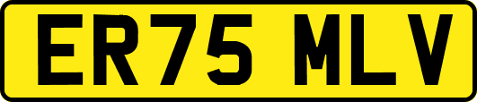 ER75MLV